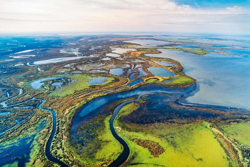 wood buffalo national park