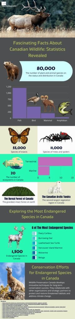 Fascinating Facts About Canadian Wildlife Statistics Revealed