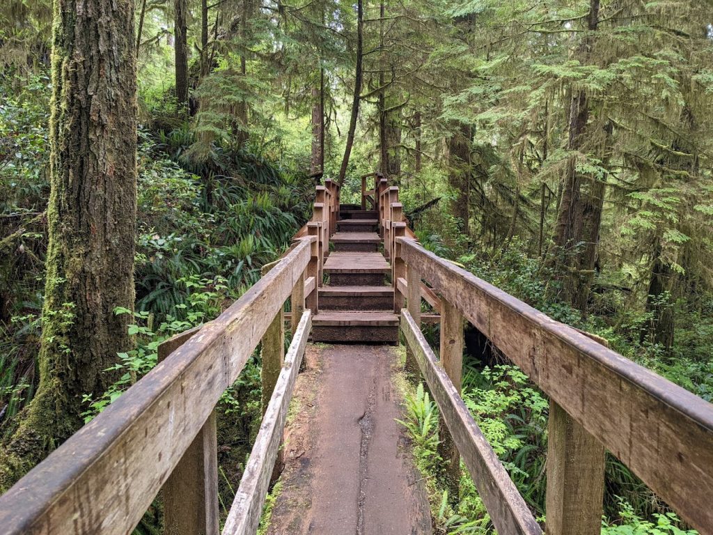 Pacific Rim National Park
