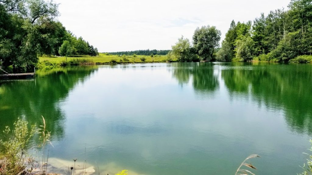 The Donkey Sanctuary