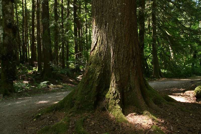 Alice Lake Provincial Park