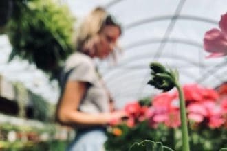 Garden Centre Ottawa