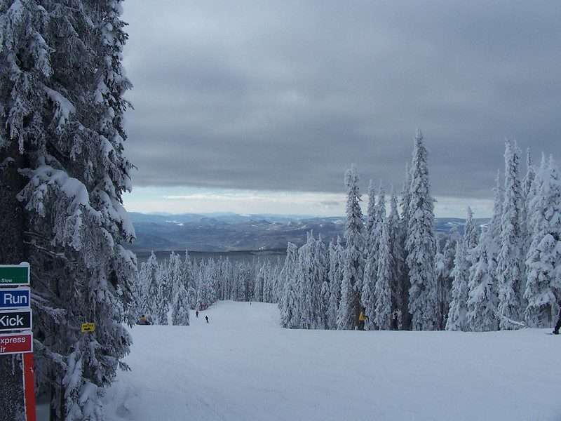 Kelowna Capital News/ Bing Kelowna BC