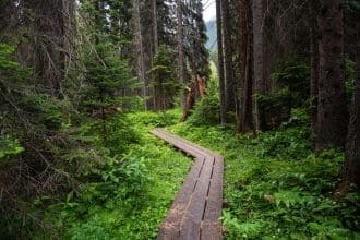 glacier national park hikes