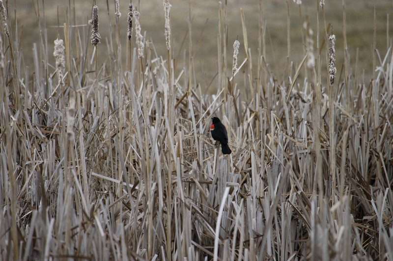 Baker County Tourism Travel Baker County