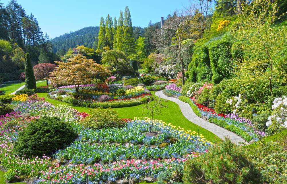 Butchart Gardens