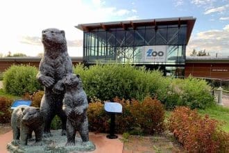 Assiniboine park zoo