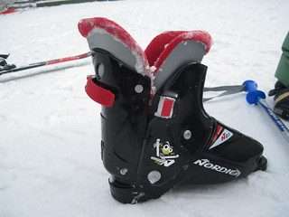 Ski boot