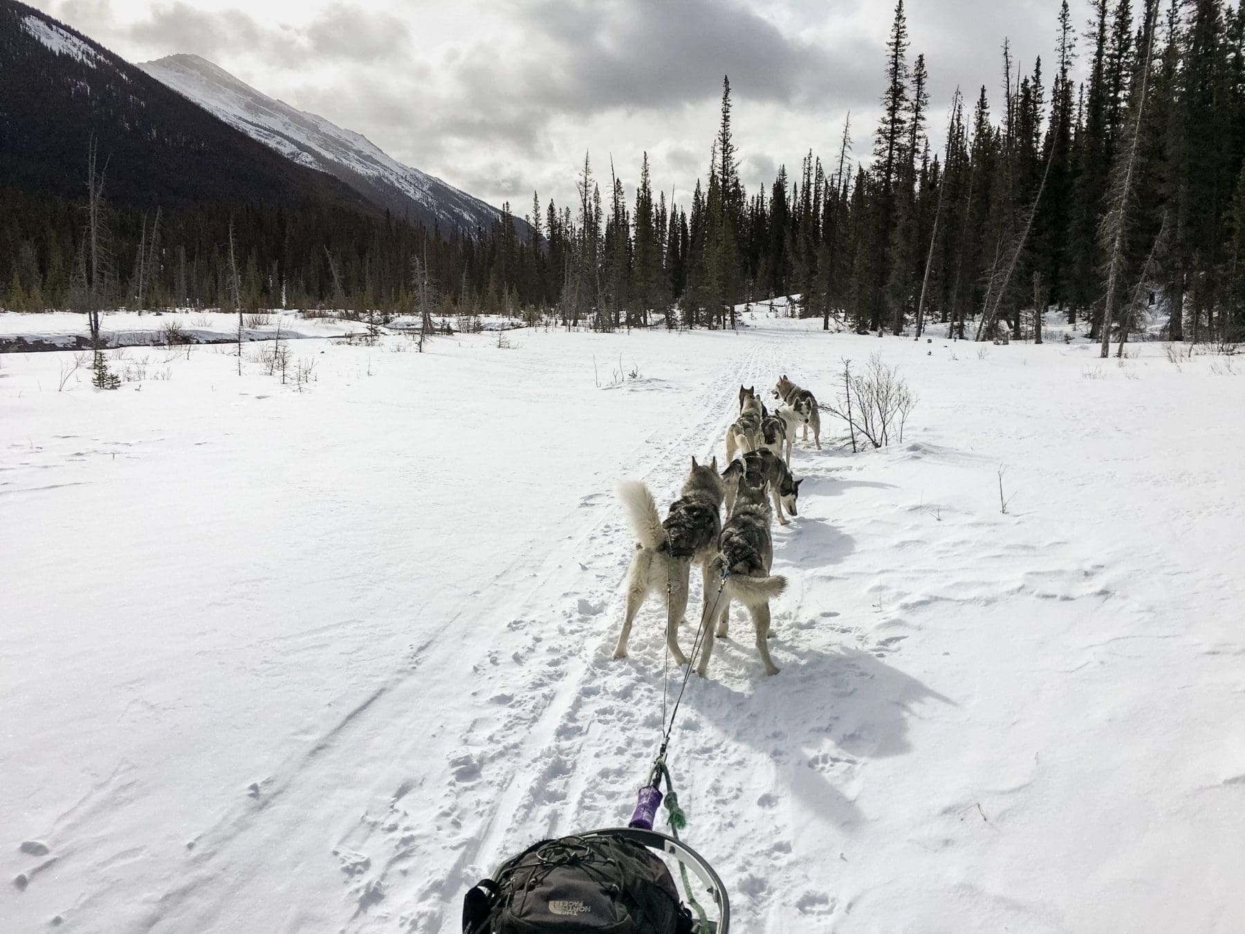 Things to do in Revelstoke