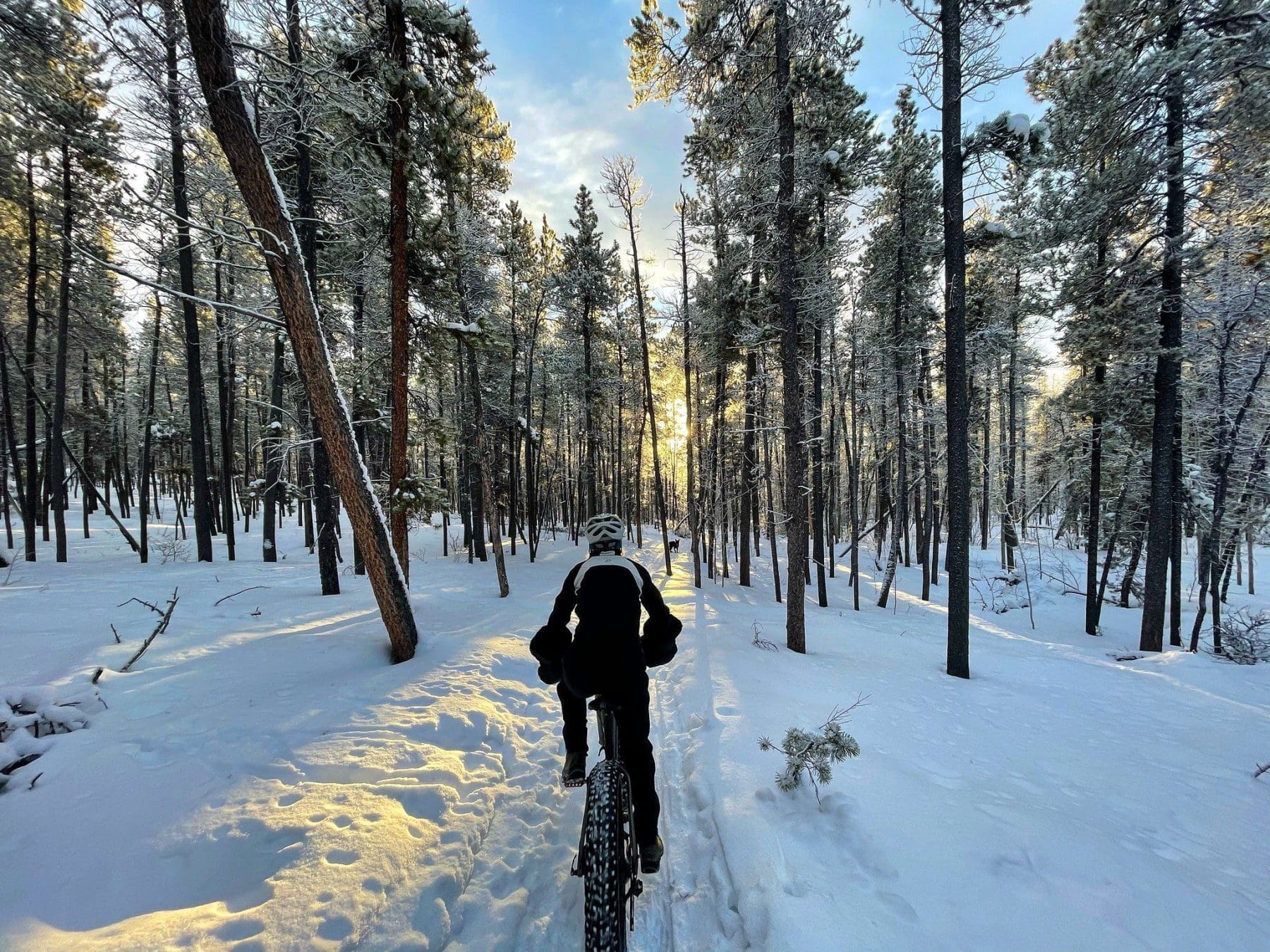 Fat Biking