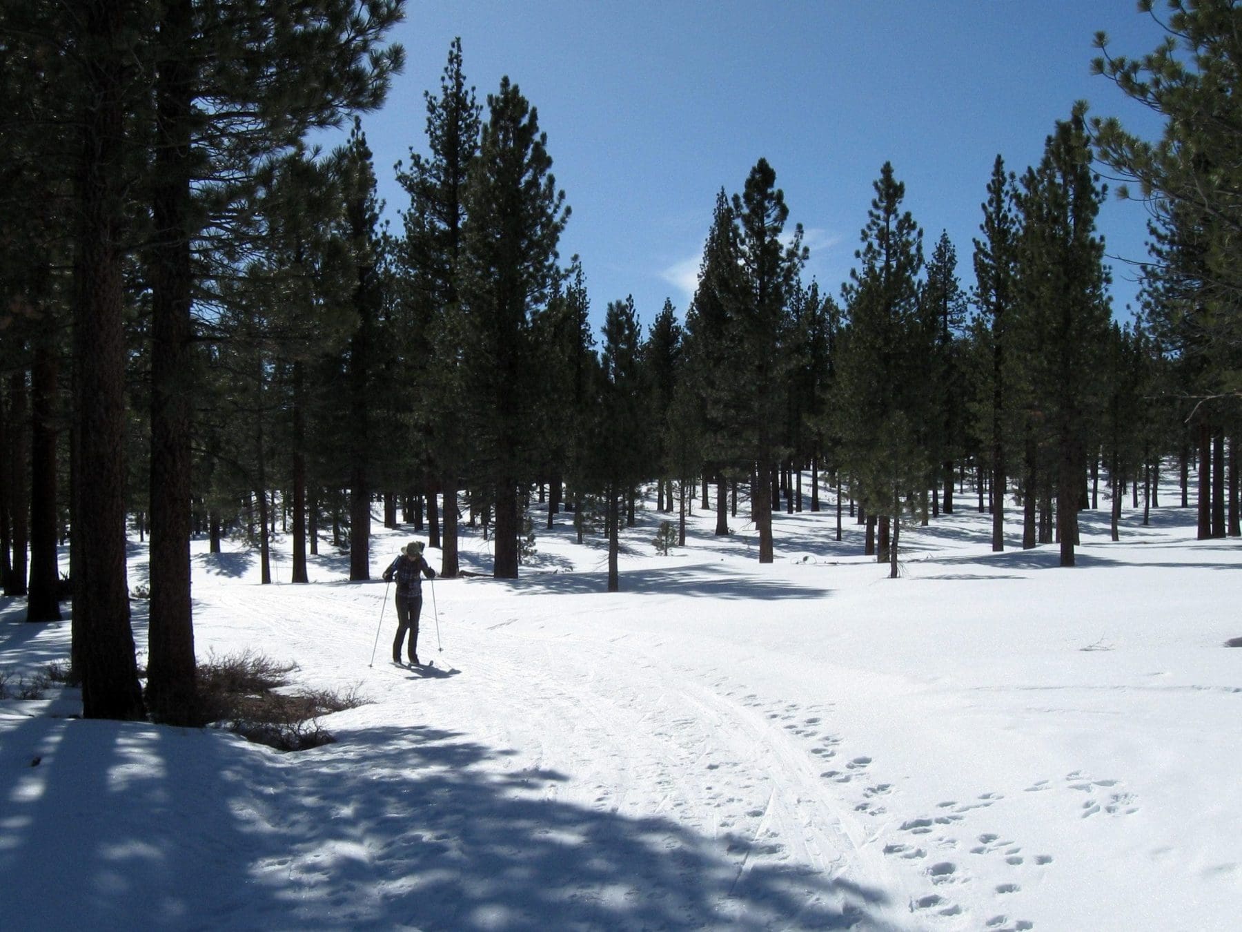 Things to do in Revelstoke