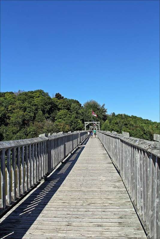 Vicki Barron lakeside trail