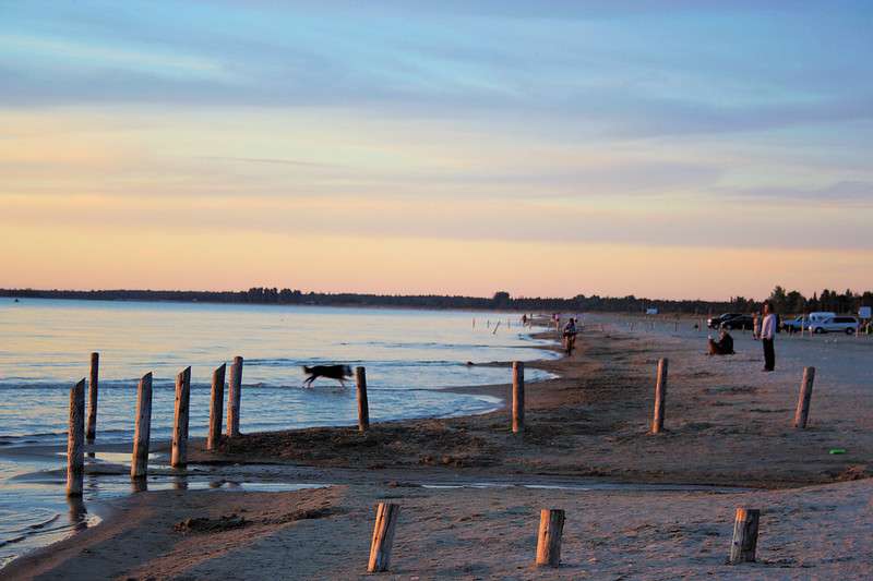 Sauble beach jaywalking
