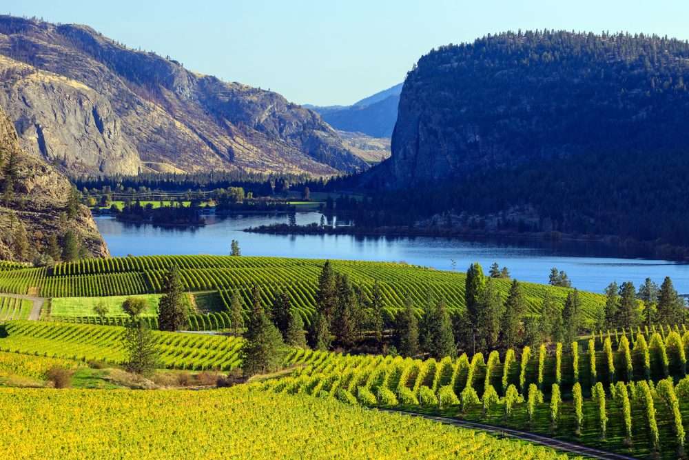 Okanagan Wineries