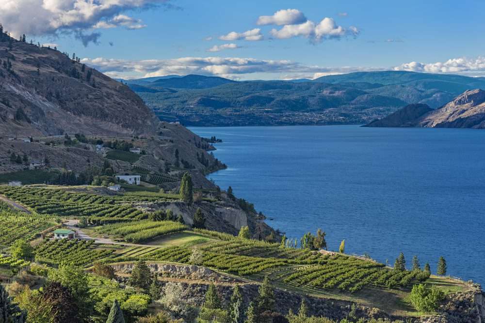 Okanagan Wineries