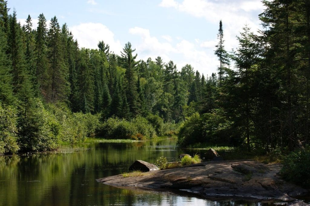 algonquin provincial park