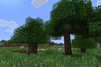 minecraft forest