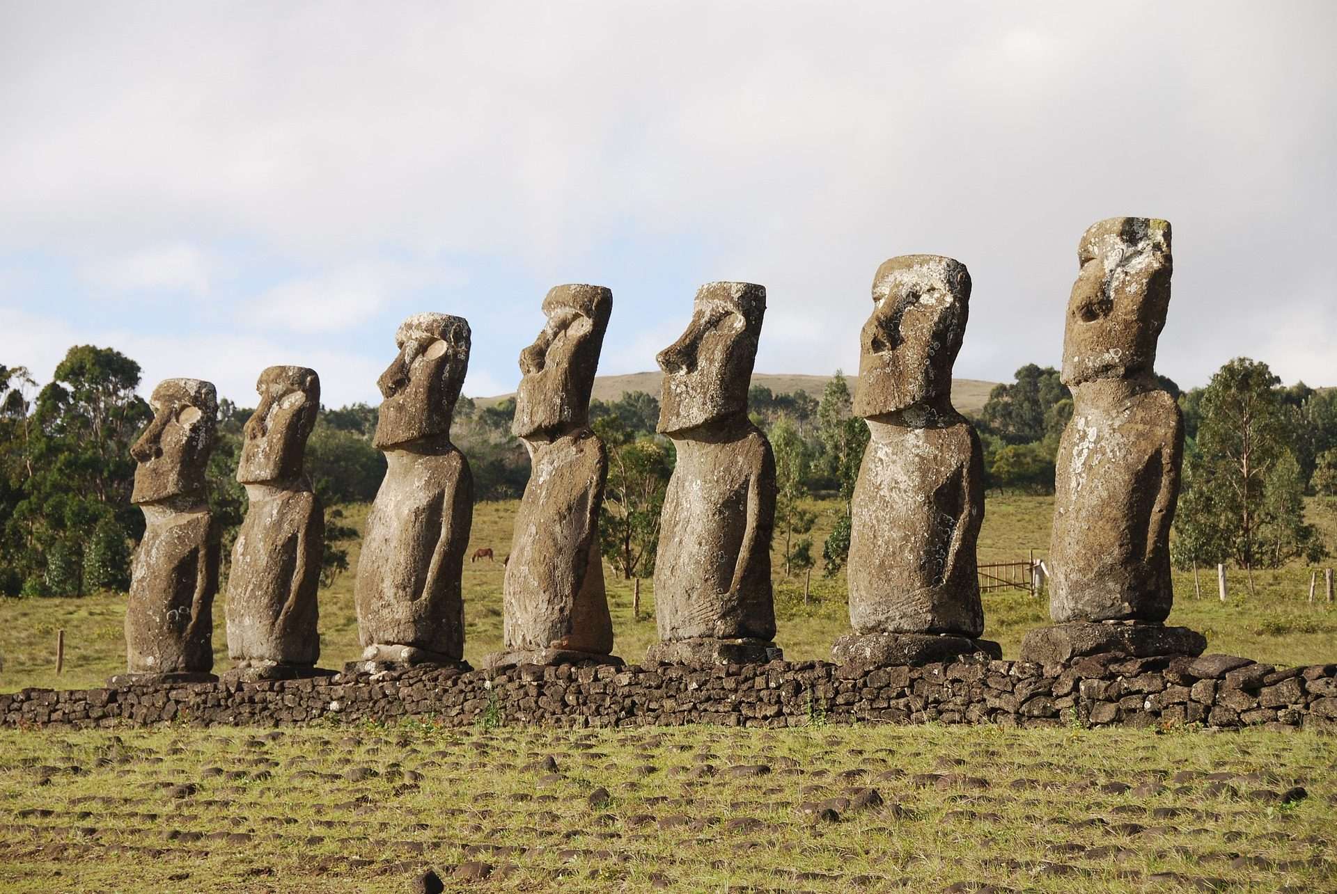 Moai Statue, Ahu Aviki