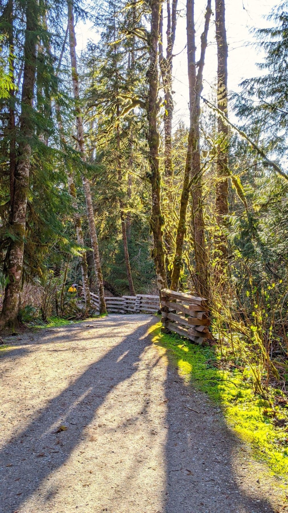 maple ridge , canada