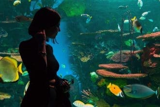 Ripley's aquarium of Canada