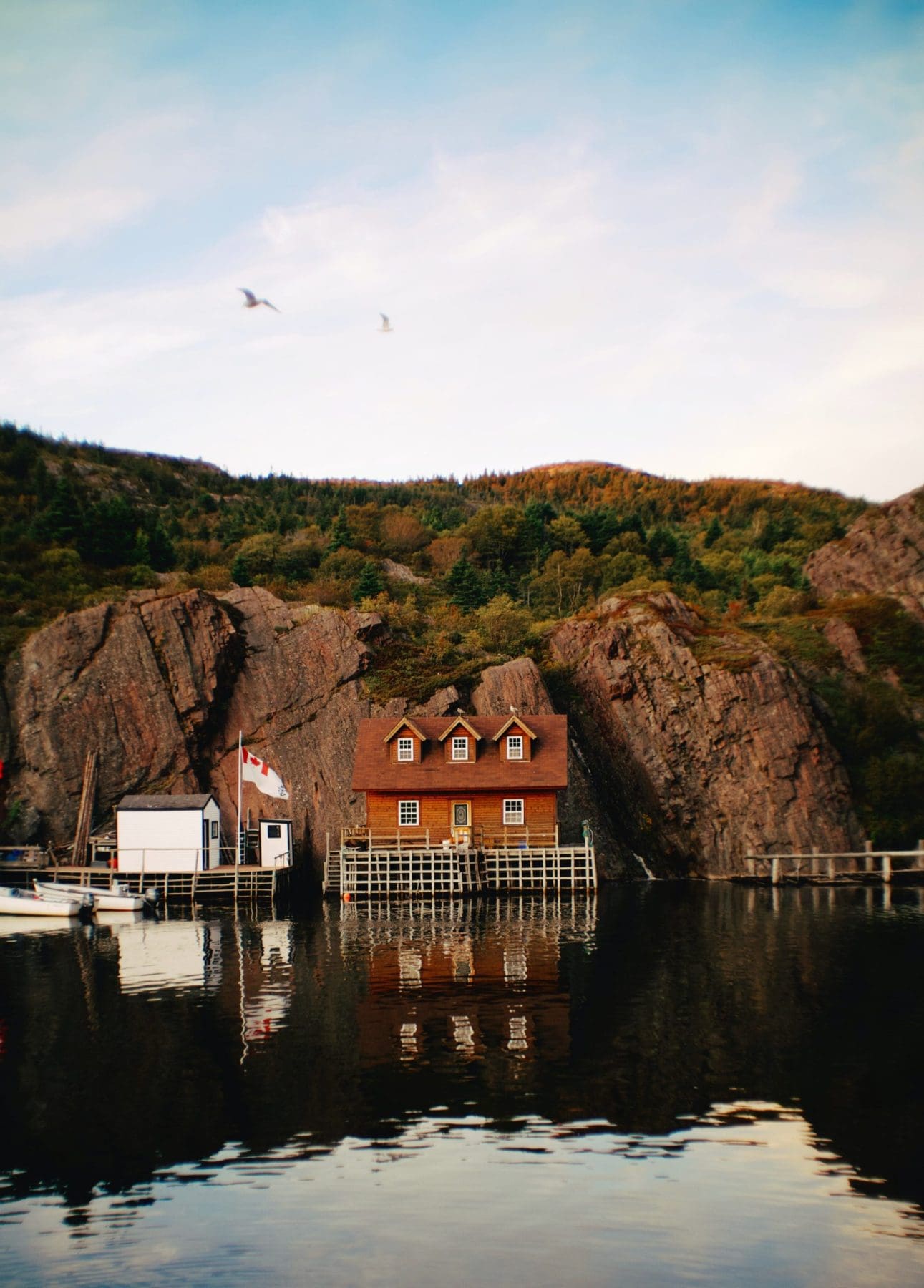 Quidi Vidi