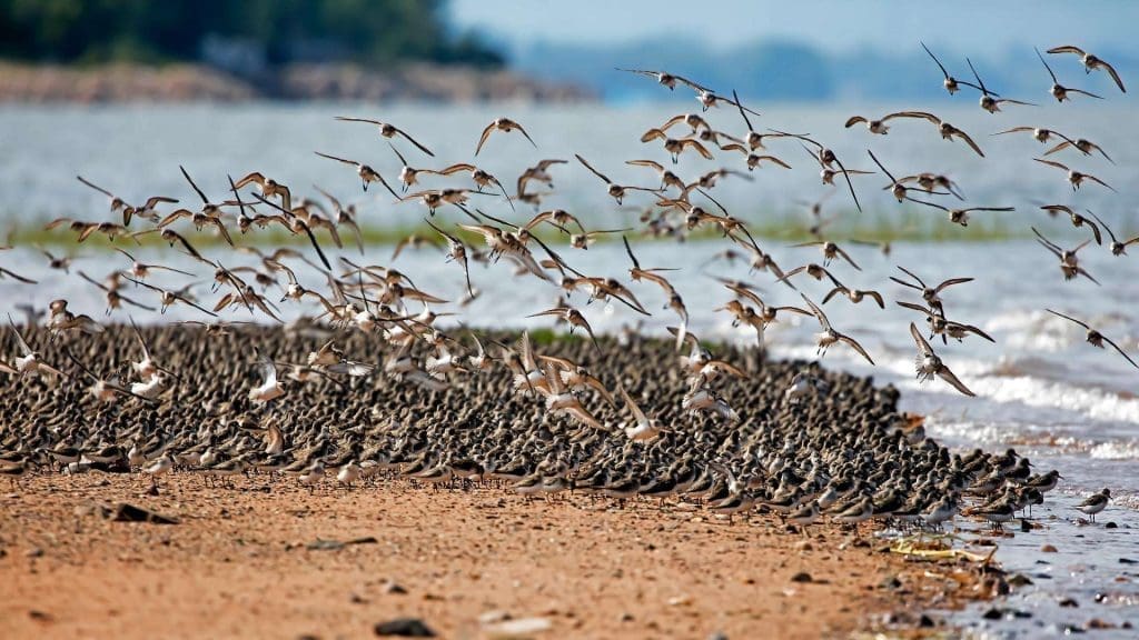 Best beaches in Canada