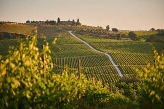 Best Wineries To Try In Ontario