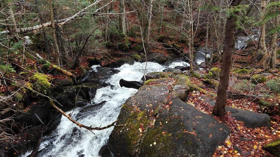 Jacques Cartier Park