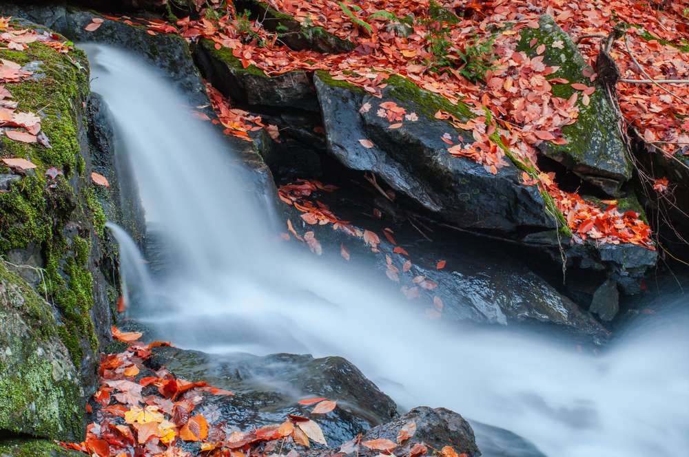 Gatineau Park waterfall