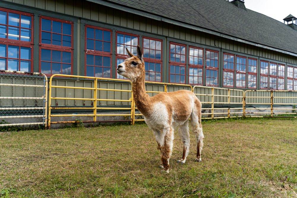 Canadian Agriculture and Food Museum