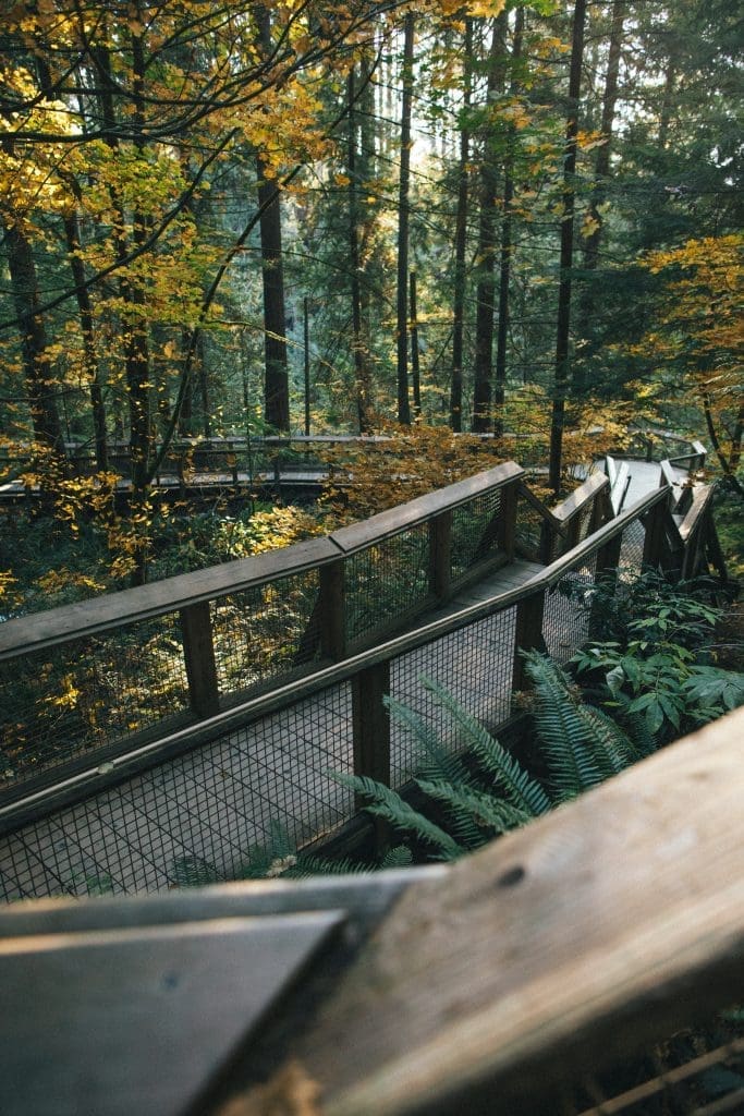 Capilano Suspension Bridge