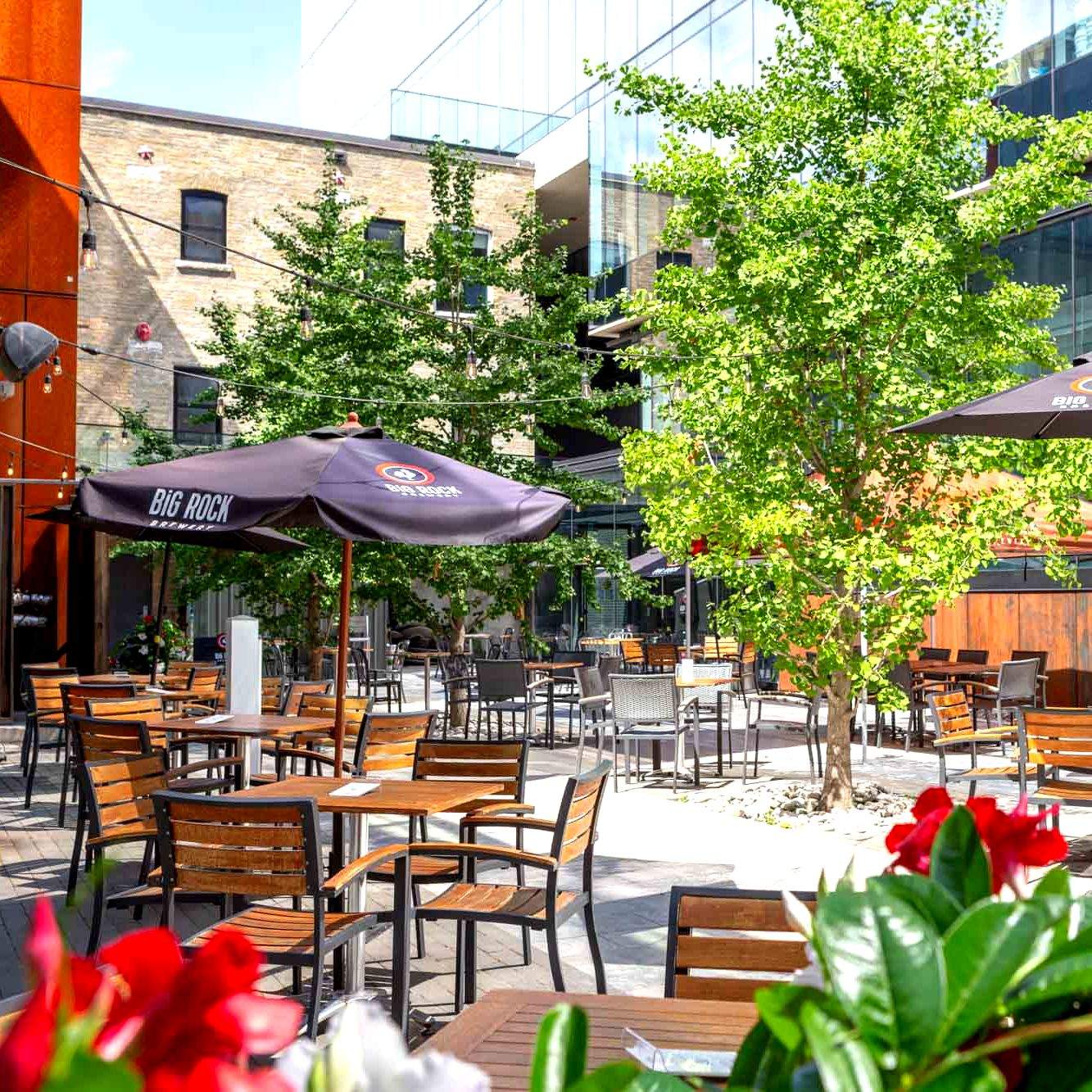 downtown Toronto restaurants with patio