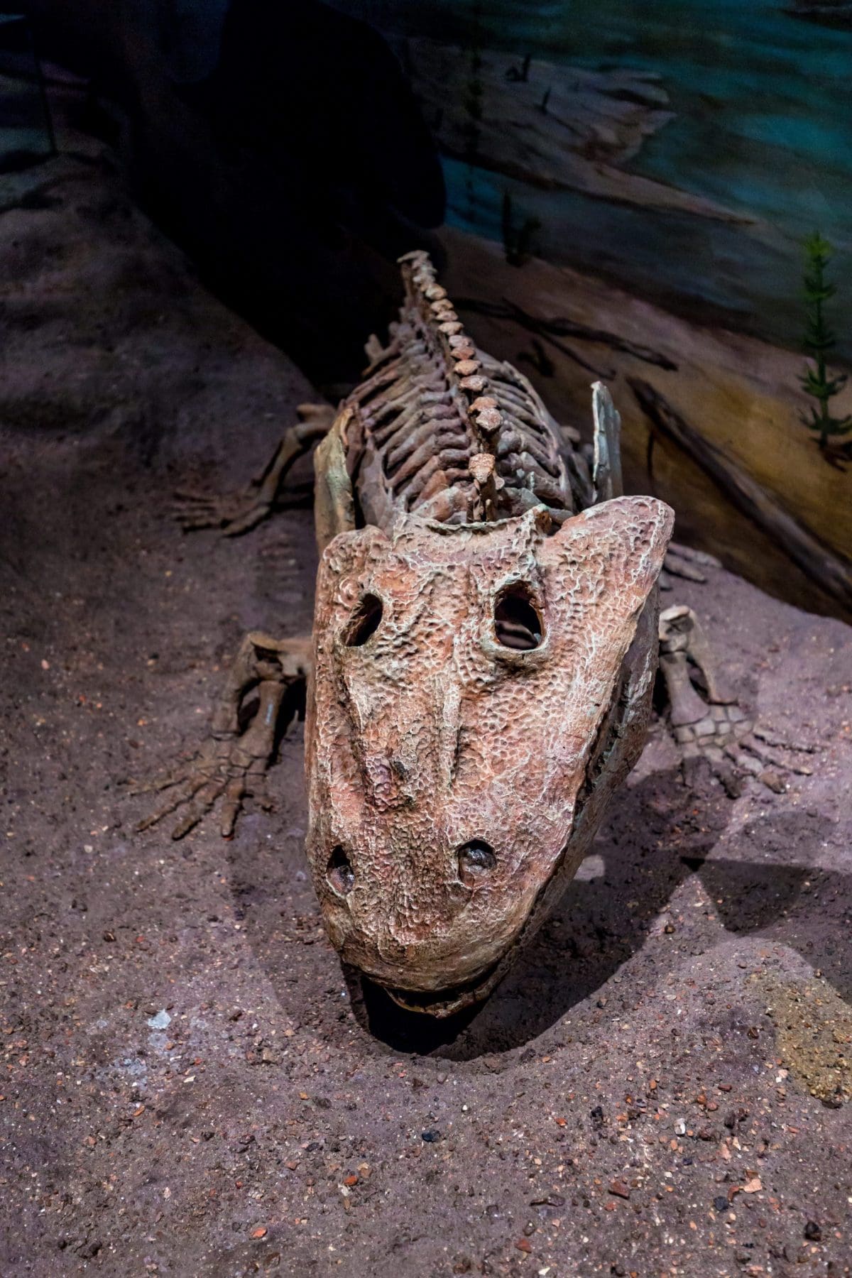 Royal Tyrrell Museum