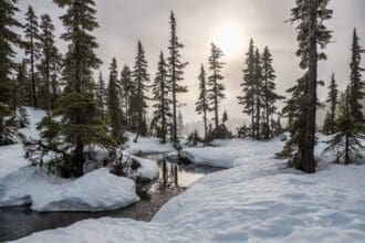 Northmost city in canada