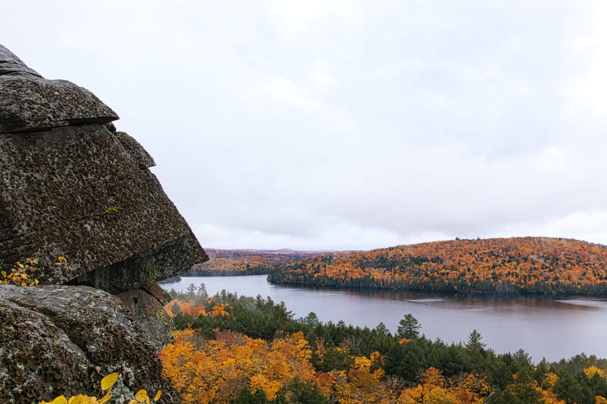 Algonquin provincial park