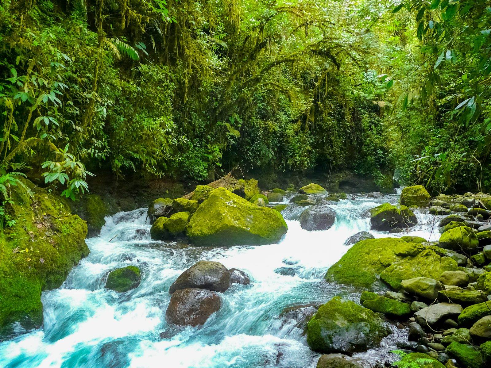 What to do in Costa Rica