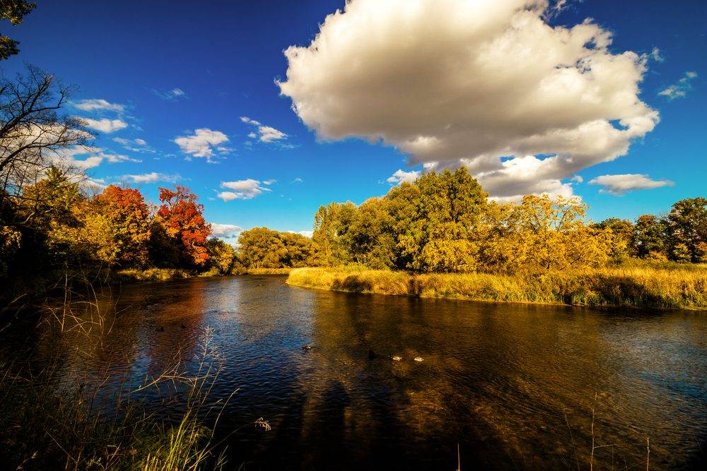 activities in mississauga