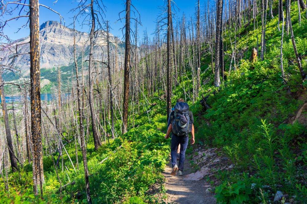 A beautiful view of nature and a person hiking through Blakiston Valley trail in Waterton national park.