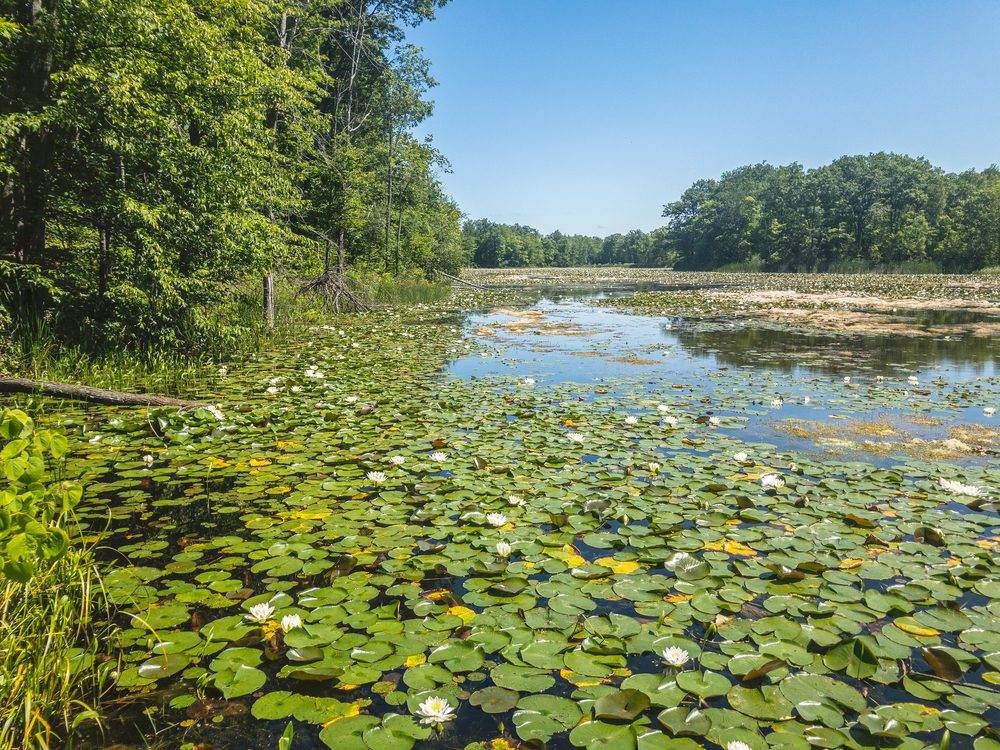 Parks in Halton- Terra Cotta Conservation Area 