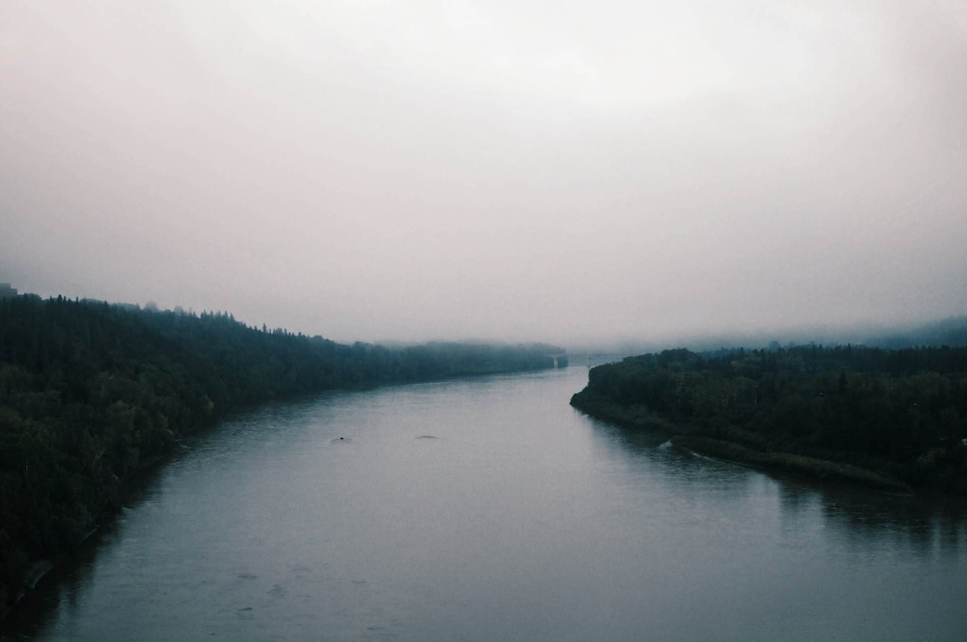 A view of the North Saskatchewan River, a calm river and bushes on both sides of the river.
