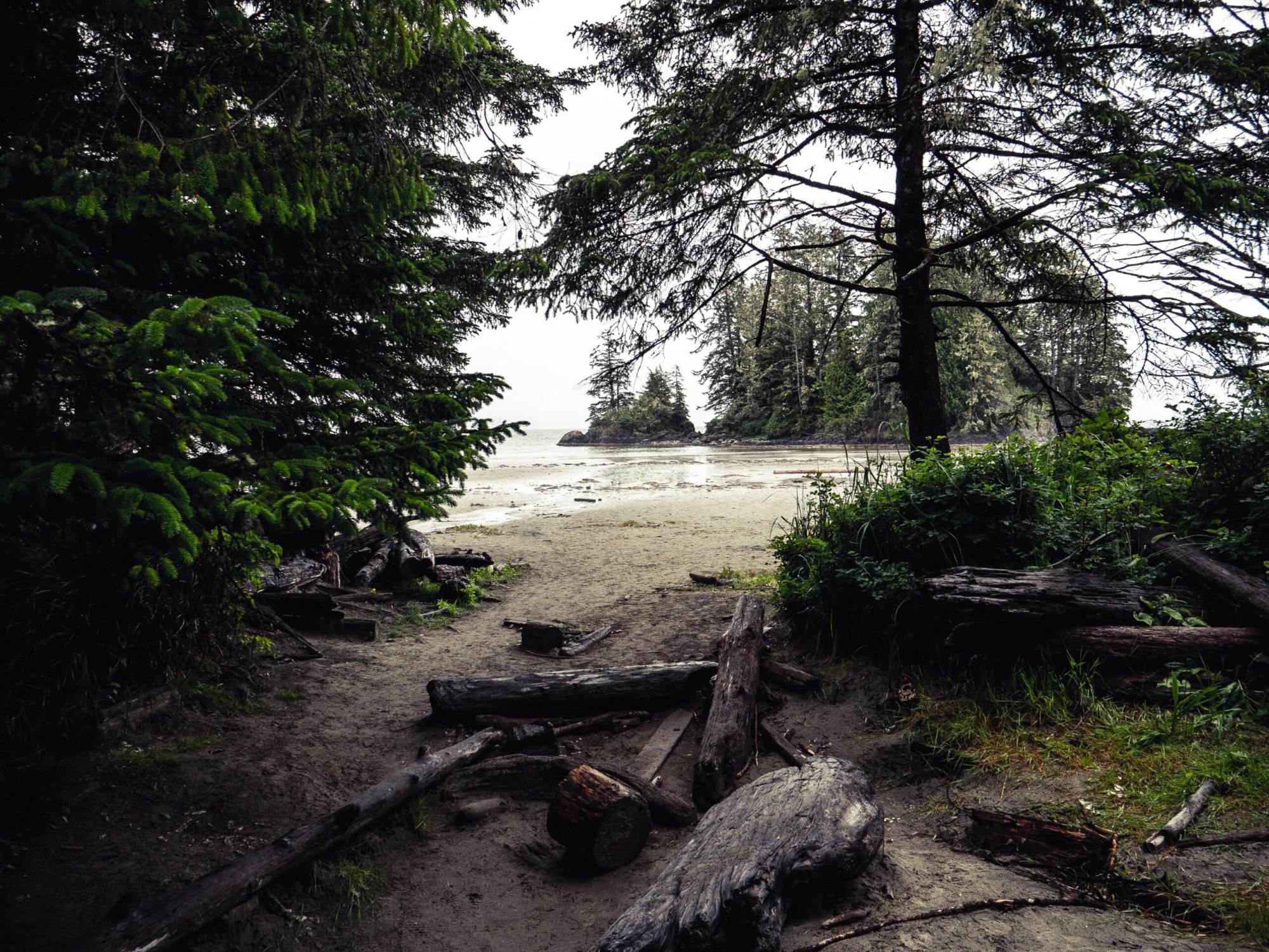 A secret path through the rainforest to a hidden beach and island in Tofino, BC.

