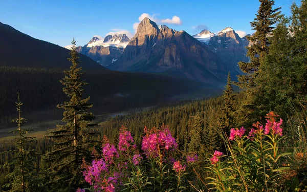 A view of beautiful mountains and meadows in Banff.