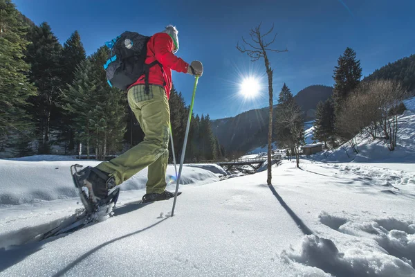 A person in a red jacket snowshoeing on a snowy trail.