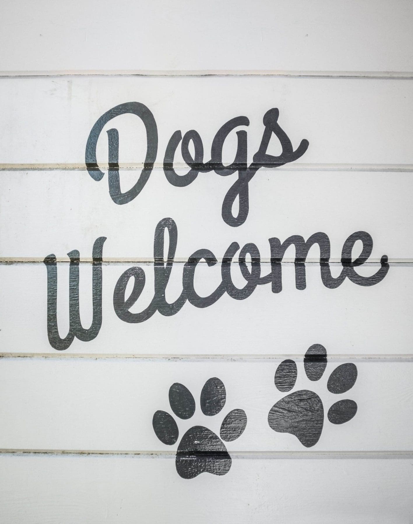 Retro Vintage Style Dogs Welcome Sign On A Wooden Wall Of A Cafe Or Restaurant Or Hotel
