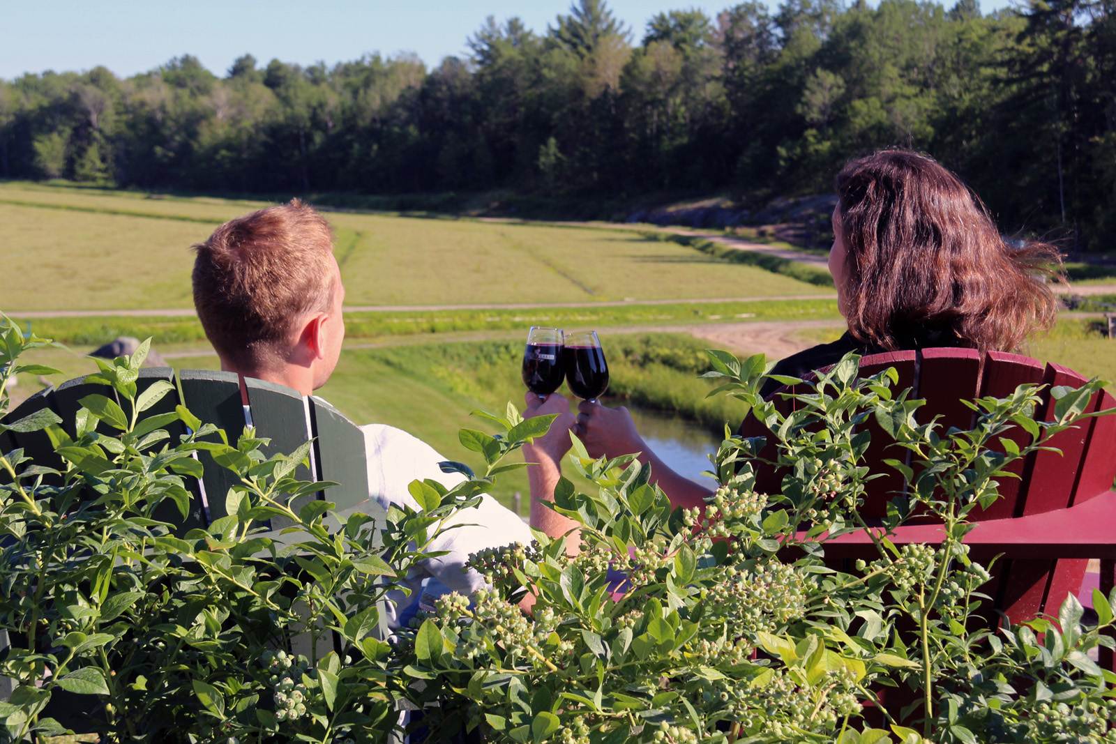 a couple sitting on chairs in a green garden.