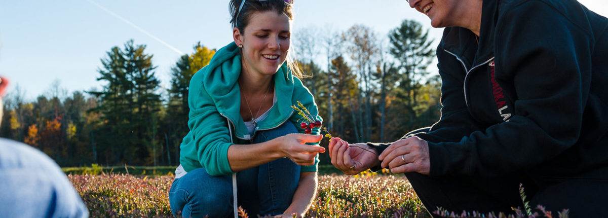 people exploring the vineyard and looking at a cranberry branch.