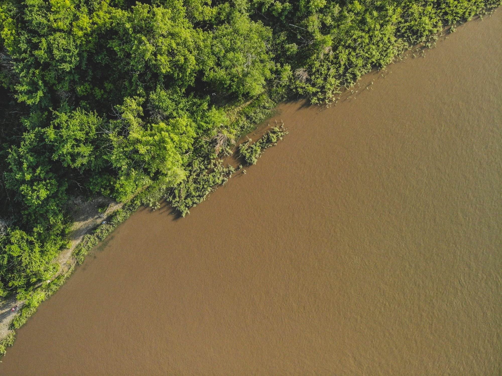 The Aerial view of Red River and a green bushy land
