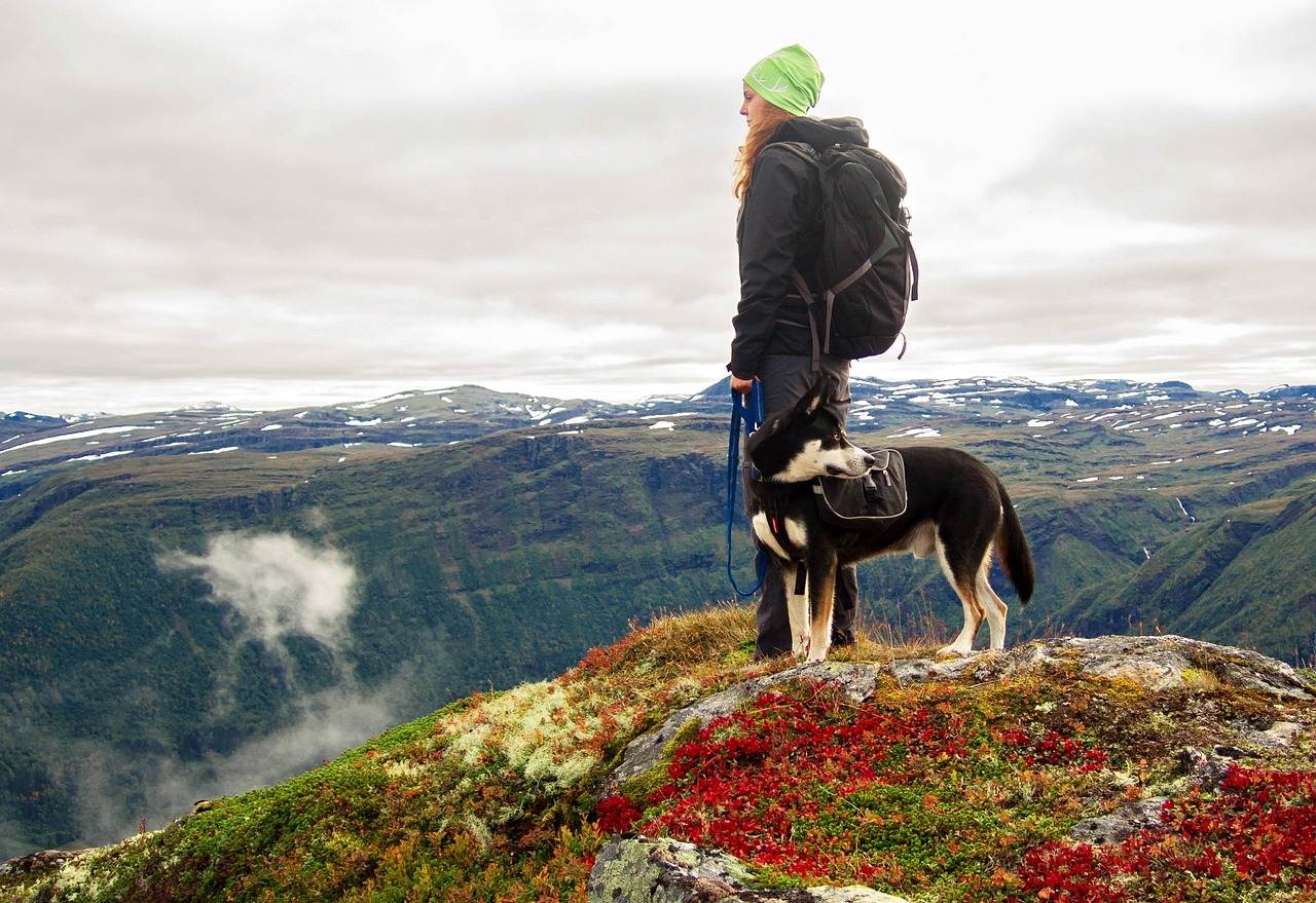 A woman standing with her dog at the edge of a cliff.