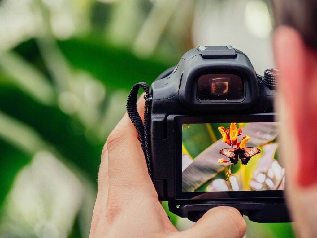 Man click a picture of butterfly