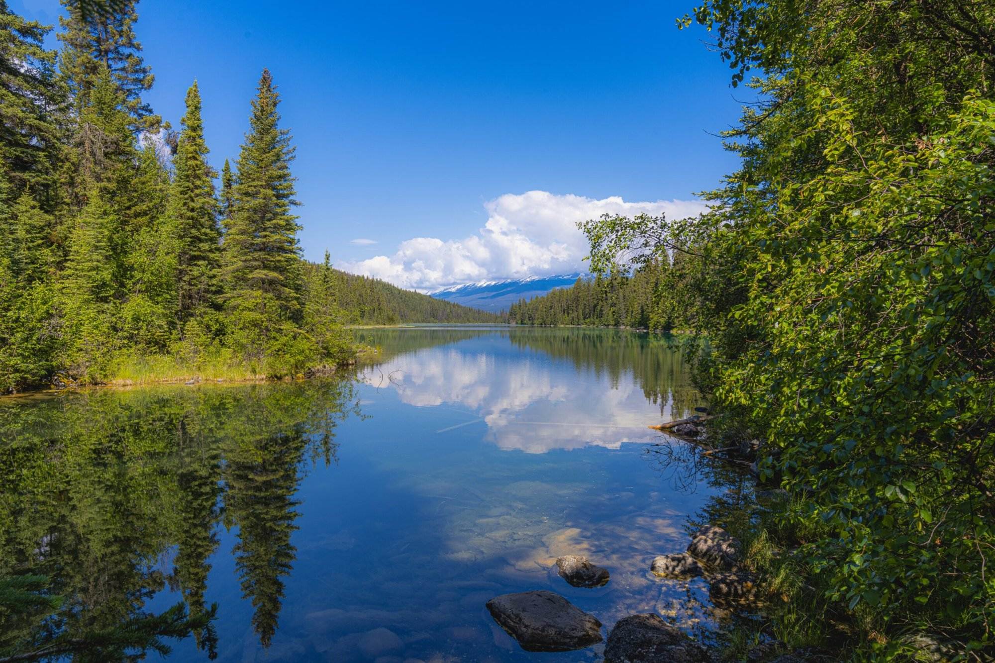 Valley of Five Lakes in Jasper National Park